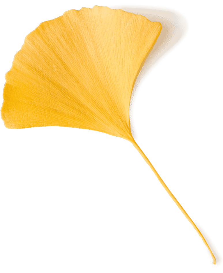 yellow flower peddle